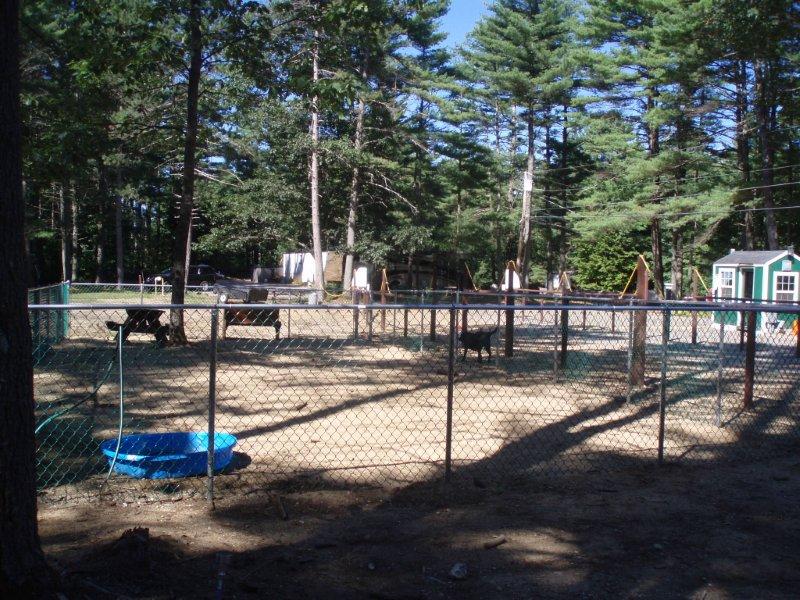 Dog park at Salmon Fallls River Camping Resort, Lebanon, Maine